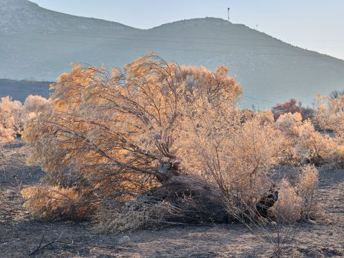 Photographie d'art de Nicolas Claris — Paysages marins, Nature