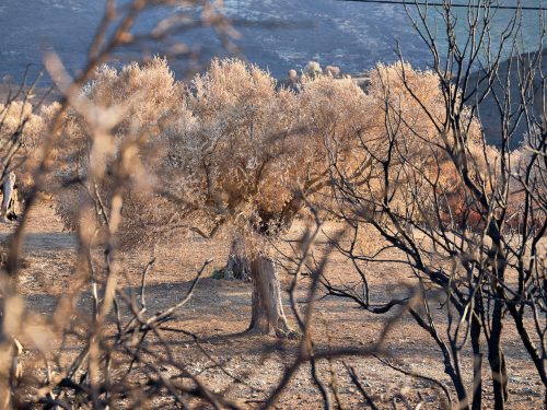 Photographie d'art de Nicolas Claris — Paysages marins, Nature