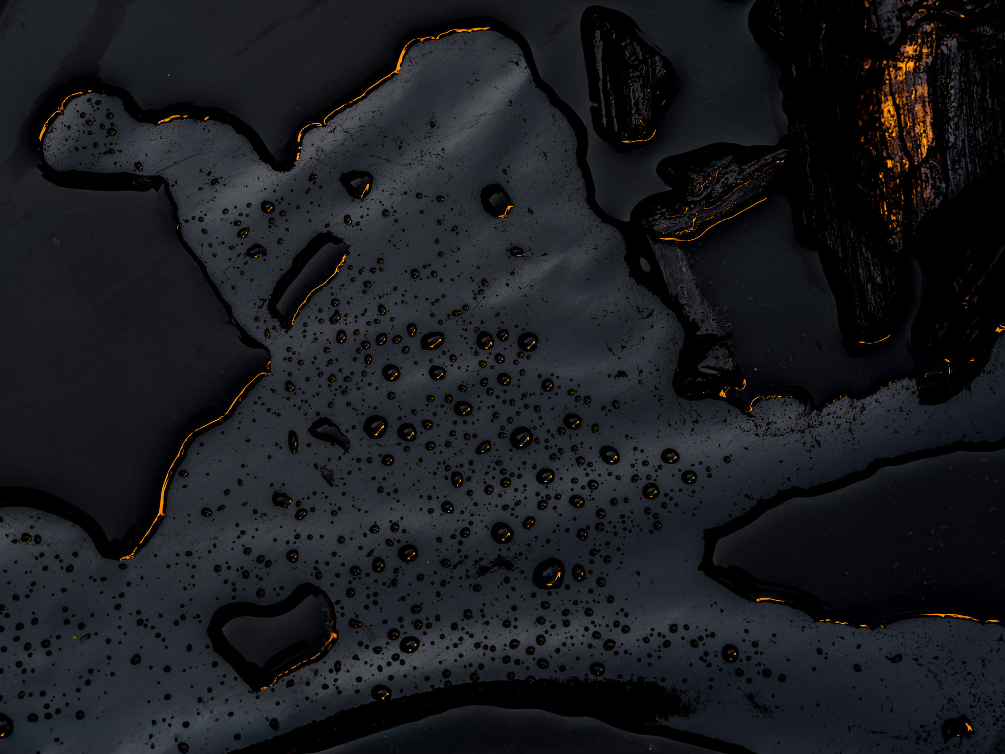 Fine art photography by Nicolas Claris — Blacks