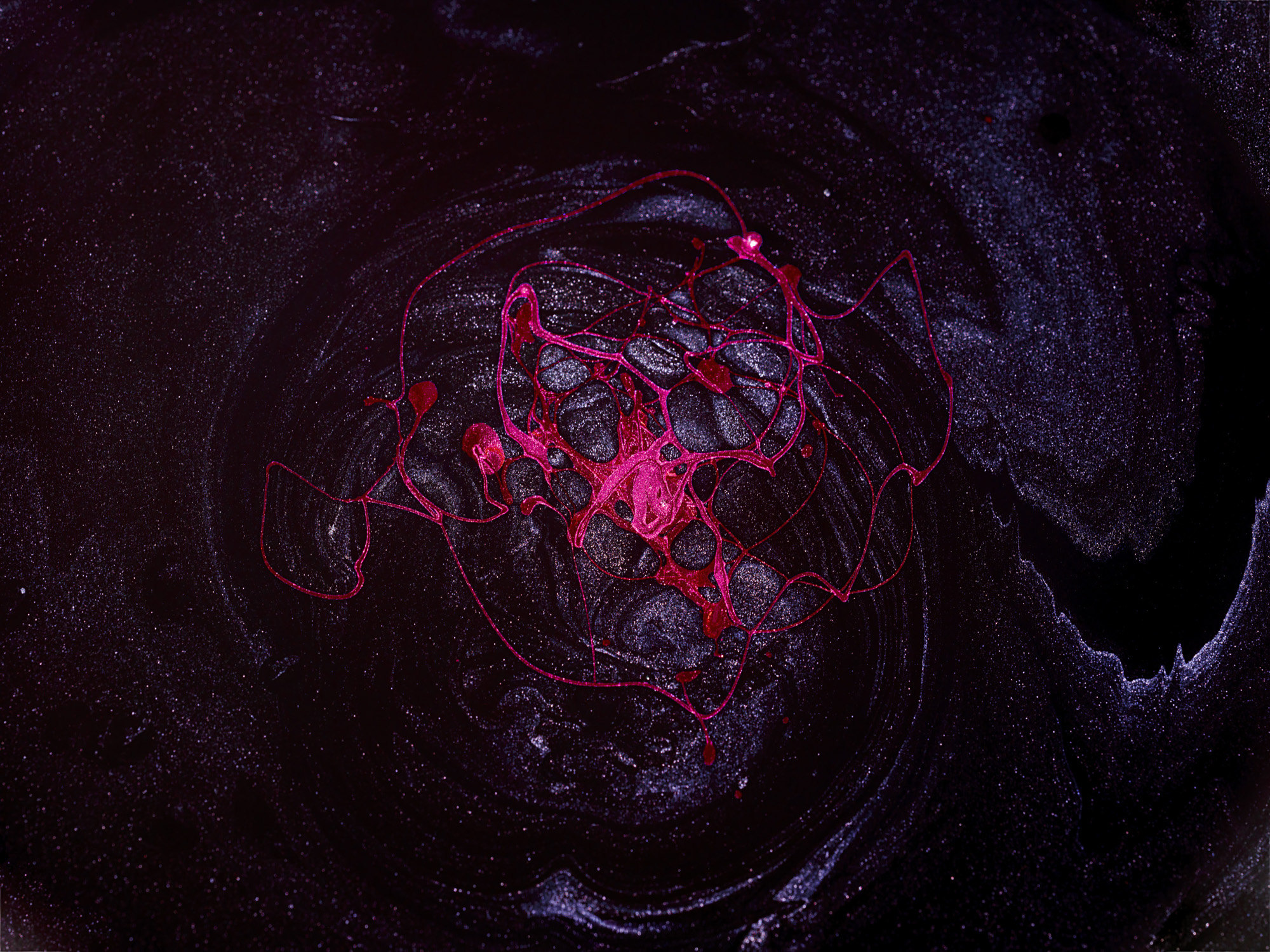 Fine art photography by Nicolas Claris — Thirty
