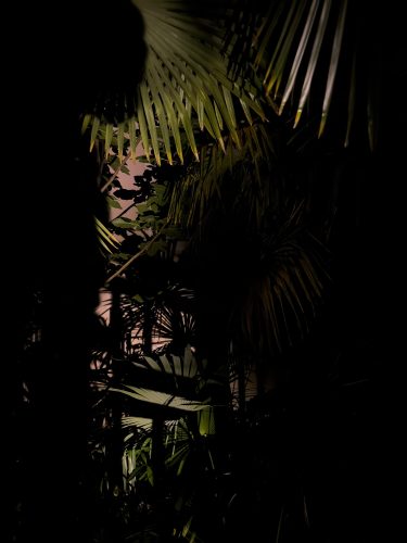 Photographie d'art de Nicolas Claris — Paysages marins, Img 0747