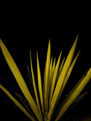 Photographie d'art de Nicolas Claris — Paysages marins, Img 1107