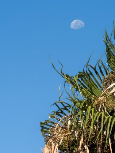 Photographie d'art de Nicolas Claris — Paysages marins, Img 3821