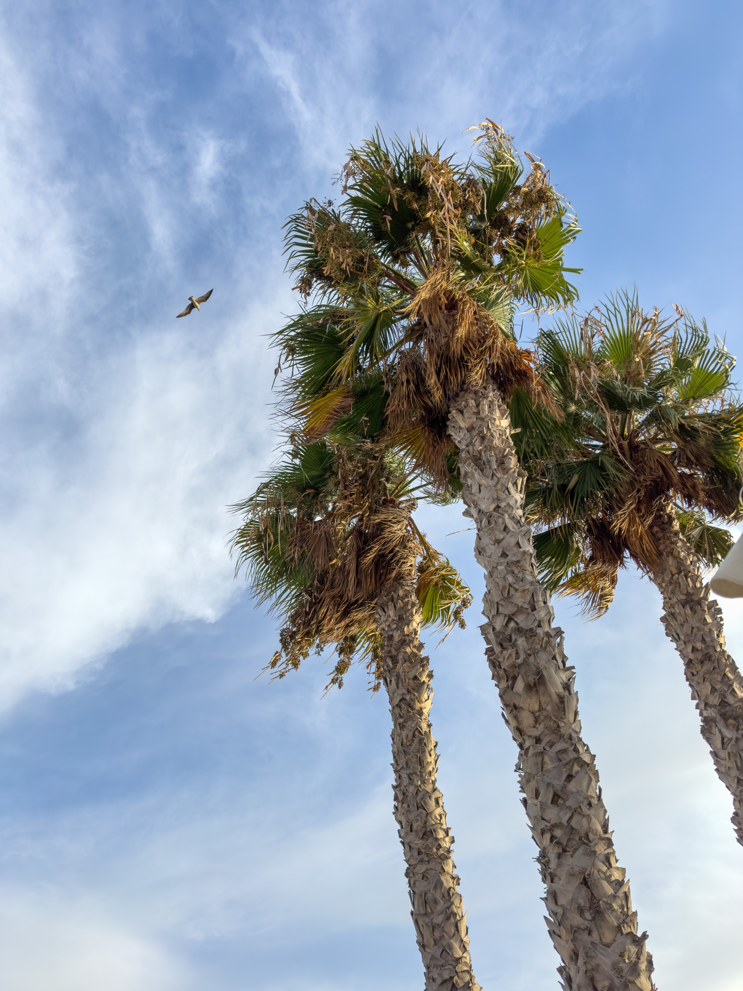 Photographie d'art de Nicolas Claris — Paysages marins