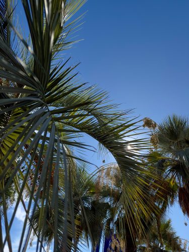 Photographie d'art de Nicolas Claris — Paysages marins, Img 4088