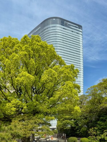 Photographie d'art de Nicolas Claris — Paysages marins, Japon 18 img e3187