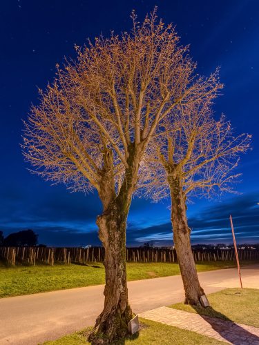 Photographie d'art de Nicolas Claris — Paysages marins, Chateau clinet ncl4535