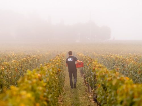 Photographie d'art de Nicolas Claris — Paysages marins, Chateau clinet ncl6782
