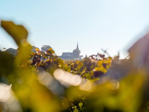 Photographie d'art de Nicolas Claris — Paysages marins, Chateau clinet ncl7158