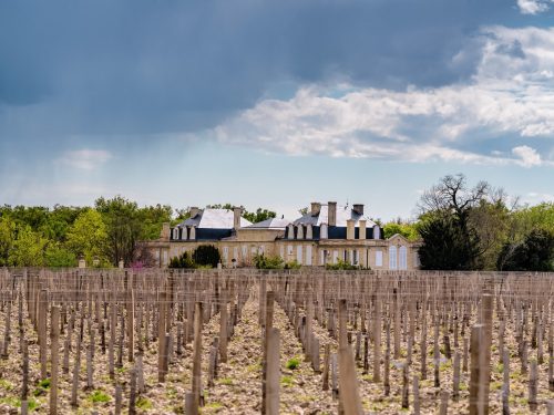 Photographie d'art de Nicolas Claris — Paysages marins, Chateau leoville barton ncz0339
