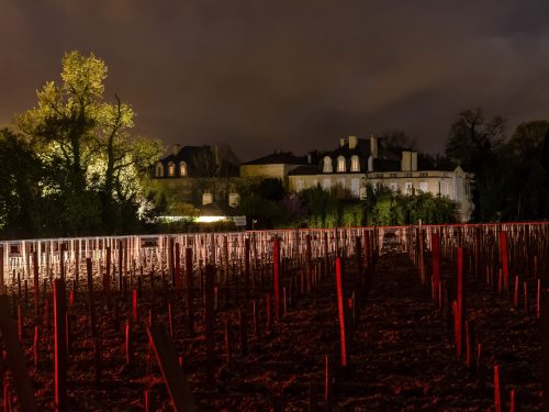 Photographie d'art de Nicolas Claris — Paysages marins, Chateau leoville barton ncz0869