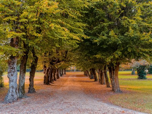 Photographie d'art de Nicolas Claris — Paysages marins, Chateau reignac ncl9231