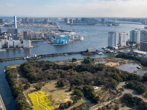 Photographie d'art de Nicolas Claris — Paysages marins, Japon contemporain nck6916