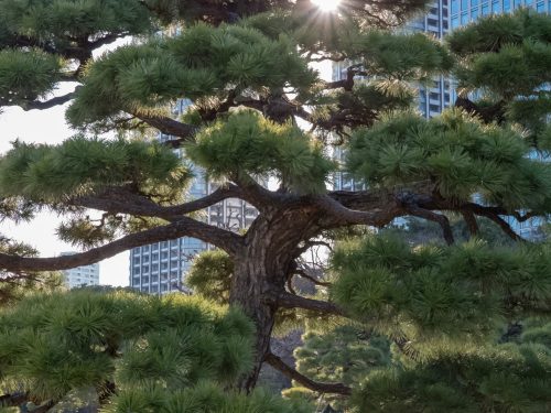 Photographie d'art de Nicolas Claris — Paysages marins, Japon rues nck6923