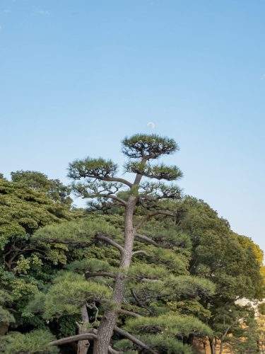 Photographie d'art de Nicolas Claris — Paysages marins, Japon rues nck6952