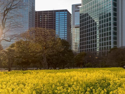 Photographie d'art de Nicolas Claris — Paysages marins, Japon rues nck6965