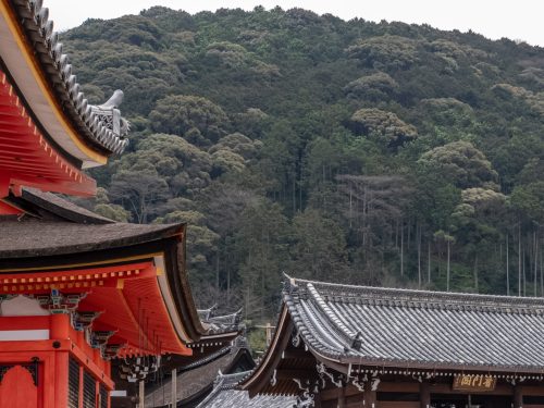 Photographie d'art de Nicolas Claris — Paysages marins, Japon traditionnel nck7277