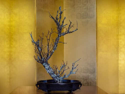 Photographie d'art de Nicolas Claris — Paysages marins, Japon traditionnel nck7386