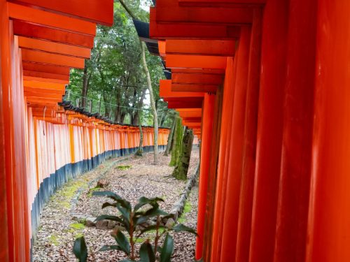 Photographie d'art de Nicolas Claris — Paysages marins, Japon traditionnel nck7559