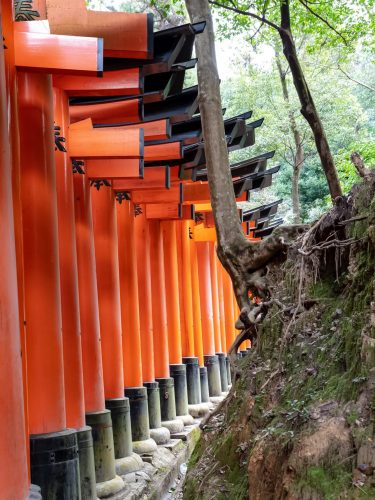 Photographie d'art de Nicolas Claris — Paysages marins, Japon traditionnel nck7579