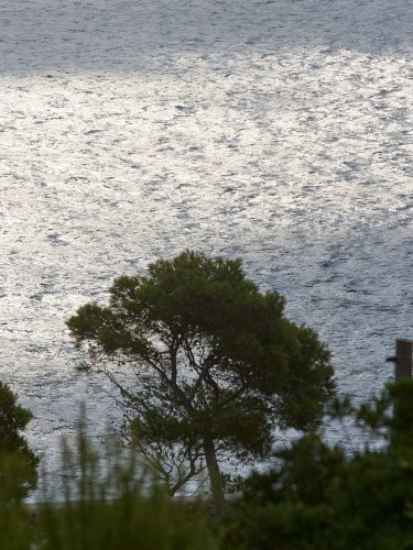 Photographie d'art de Nicolas Claris — Paysages marins, G8a1330