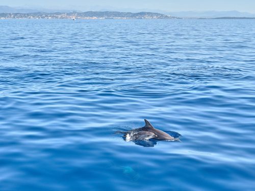 Photographie d'art de Nicolas Claris — Paysages marins